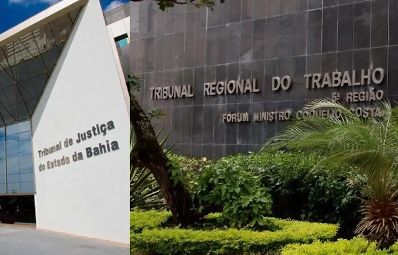 TRT BA Divulgou Um Novo Edital Do Processo Seletivo Com Vagas Imediatas Empregos Na Bahia