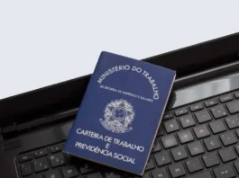 Abriu novamente vaga para Digitador(a) de notas fiscais - Vagas Home Office  (trabalhe em casa)- Pode candidatar-se candidatos de todo o Brasil